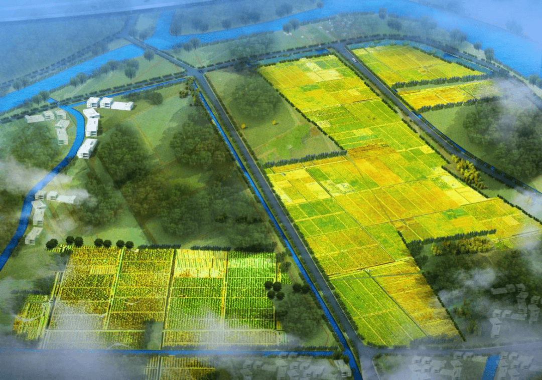 千亩耕地集中整治效果图融合地质公园改造山水蓝图绘新篇过去,大岑南