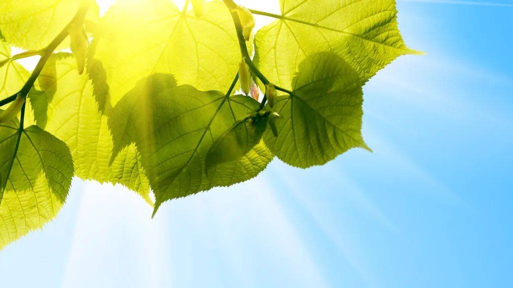 本周天气|高温暂缓,先晴后雨