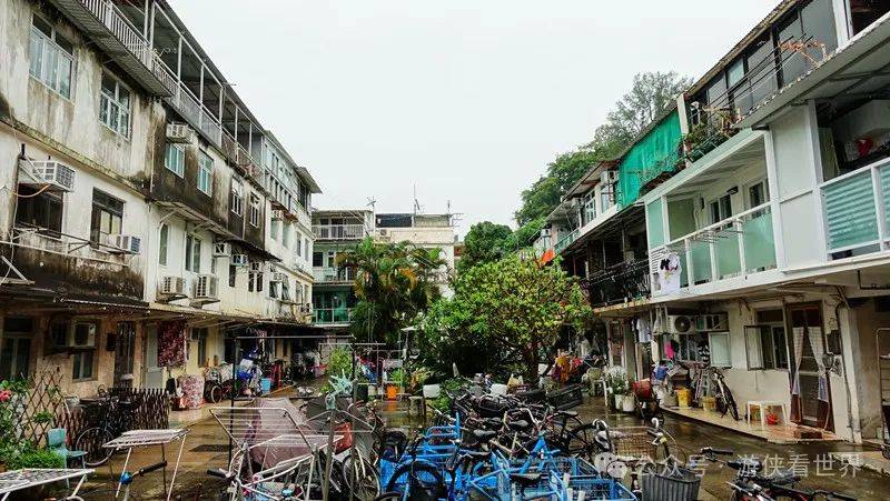 香港:雨中漫步坪洲 偶遇舞狮采青