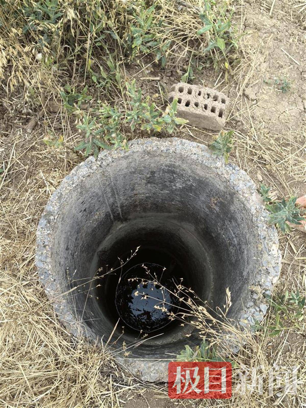 濉溪县田间的公共灌溉水井濉溪县刘桥镇的多名农户告诉极目新闻记者