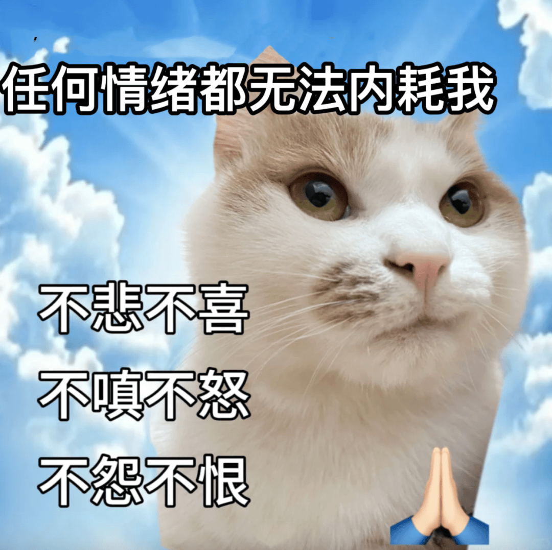 读完《道德经》,我现在强得可怕_帛书_老子_高智慧