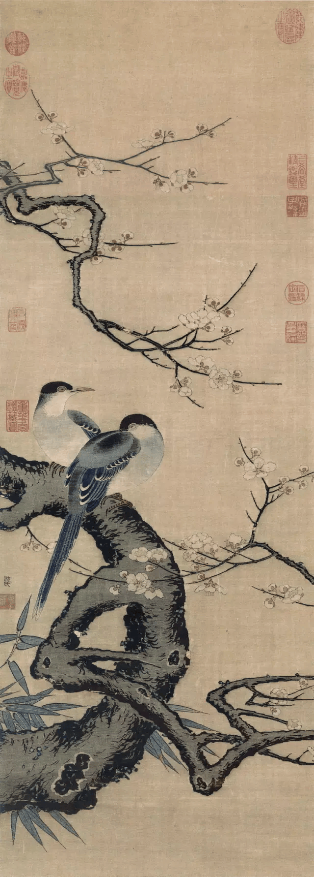 艺术欣赏】画梅兰竹菊，把握这四大特性_梅花_兰花_郑板桥
