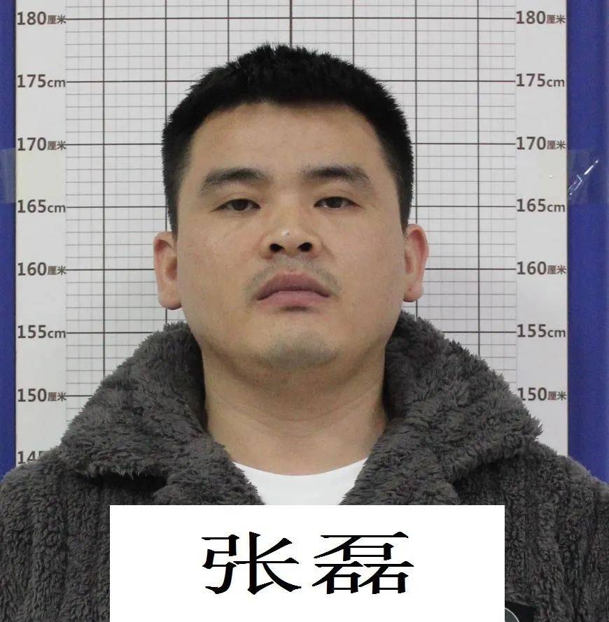 关于公开征集张磊等人违法犯罪线索的通告