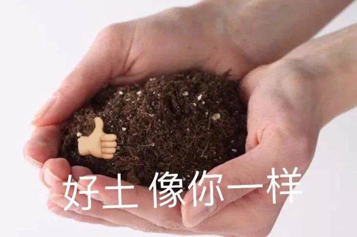 污兮兮的搞怪表情包!