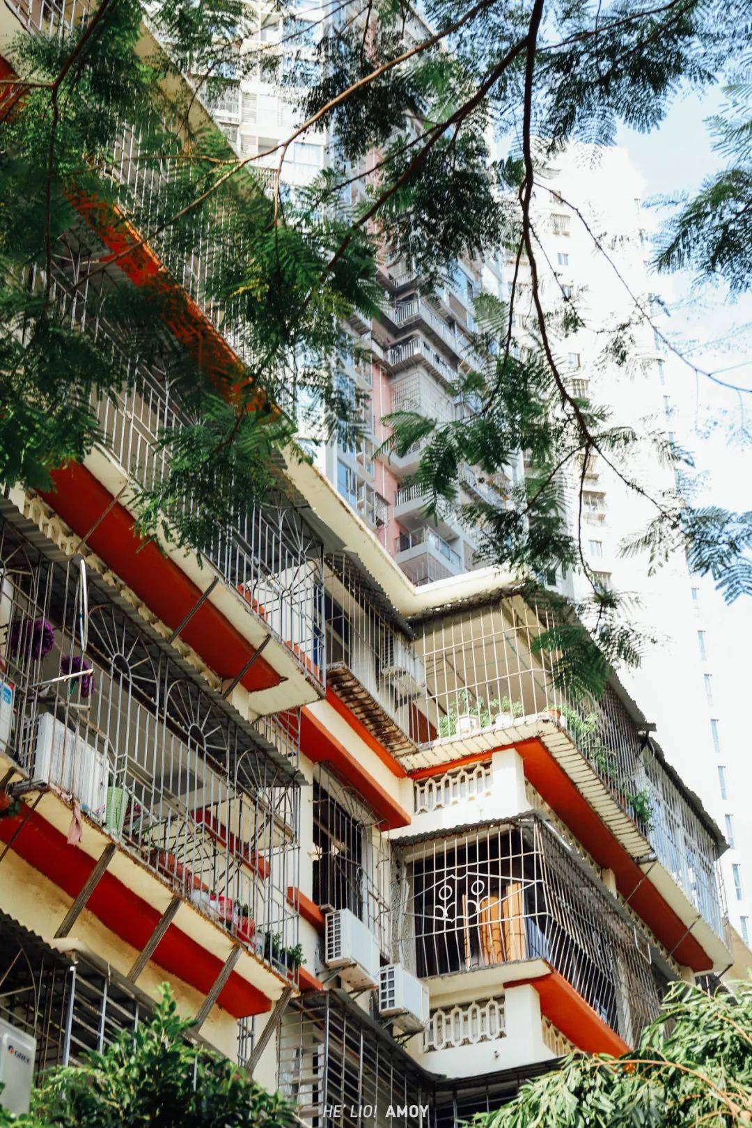 真羡慕,住在这的厦门人!荒废多年的老铁路变身动漫里的隧道!