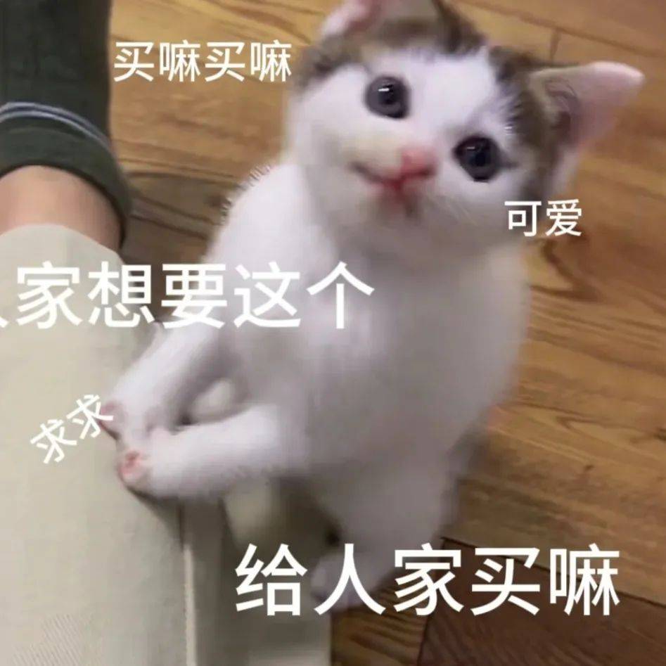 我小猫咪也绝非善类!丨第1027期喵表情包