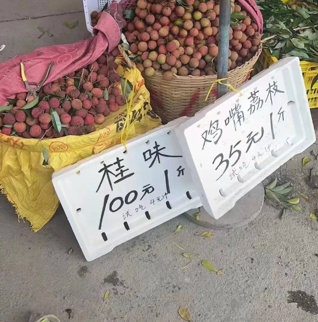 【农业】二十多年以来,荔枝才有今年的价格,10元三斤已经成为过去式_种植_产量_原因