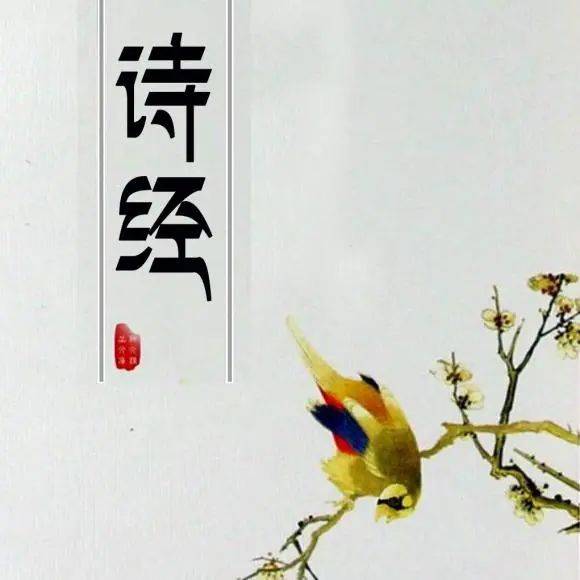 诗经《子衿》:我没去找你,难道你不会找我?_少女_悠悠_曾去