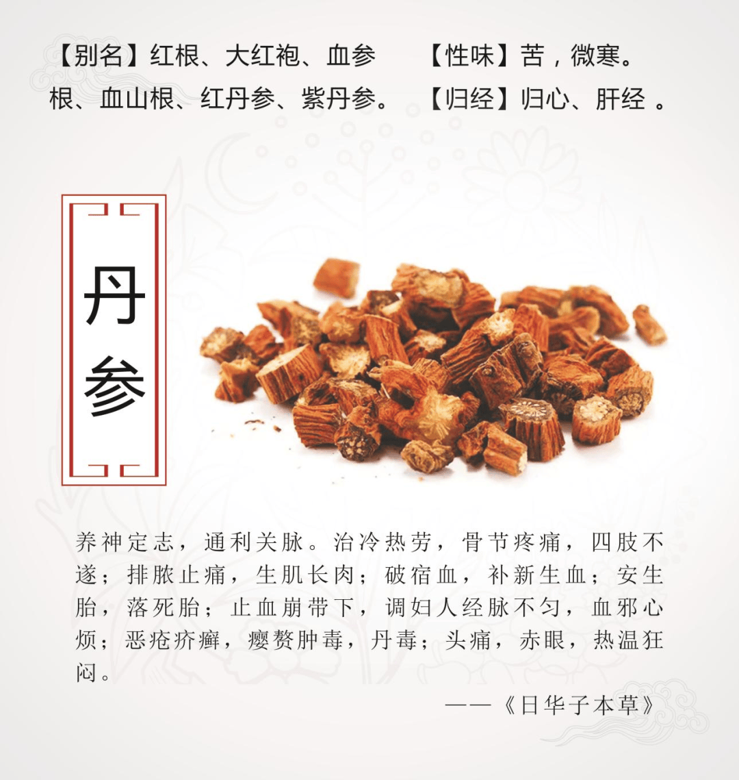 【中药小故事】每天认识一味药（四十）→ 丹参_阿明_母亲_药草