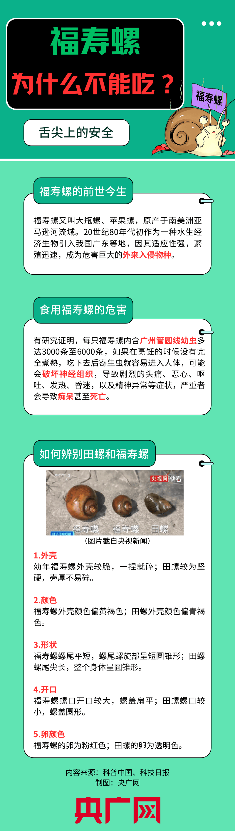 福寿螺的做法图片