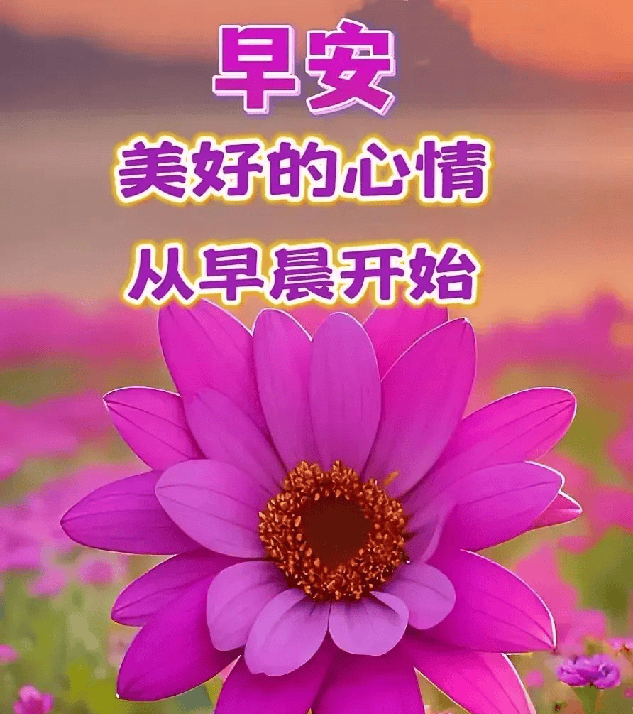 祝福图片带字早安图片