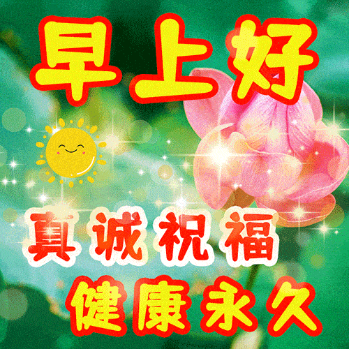最新版愉快动画表情包,夏日早安,问候安康!