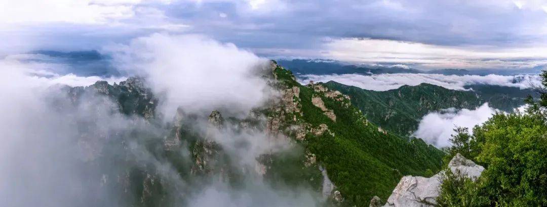 山石白山石白中