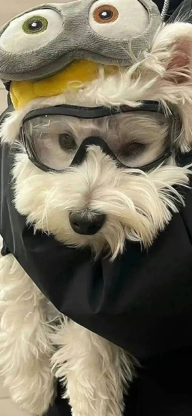 壁纸| 壁纸ins高级质感_潮流_cr