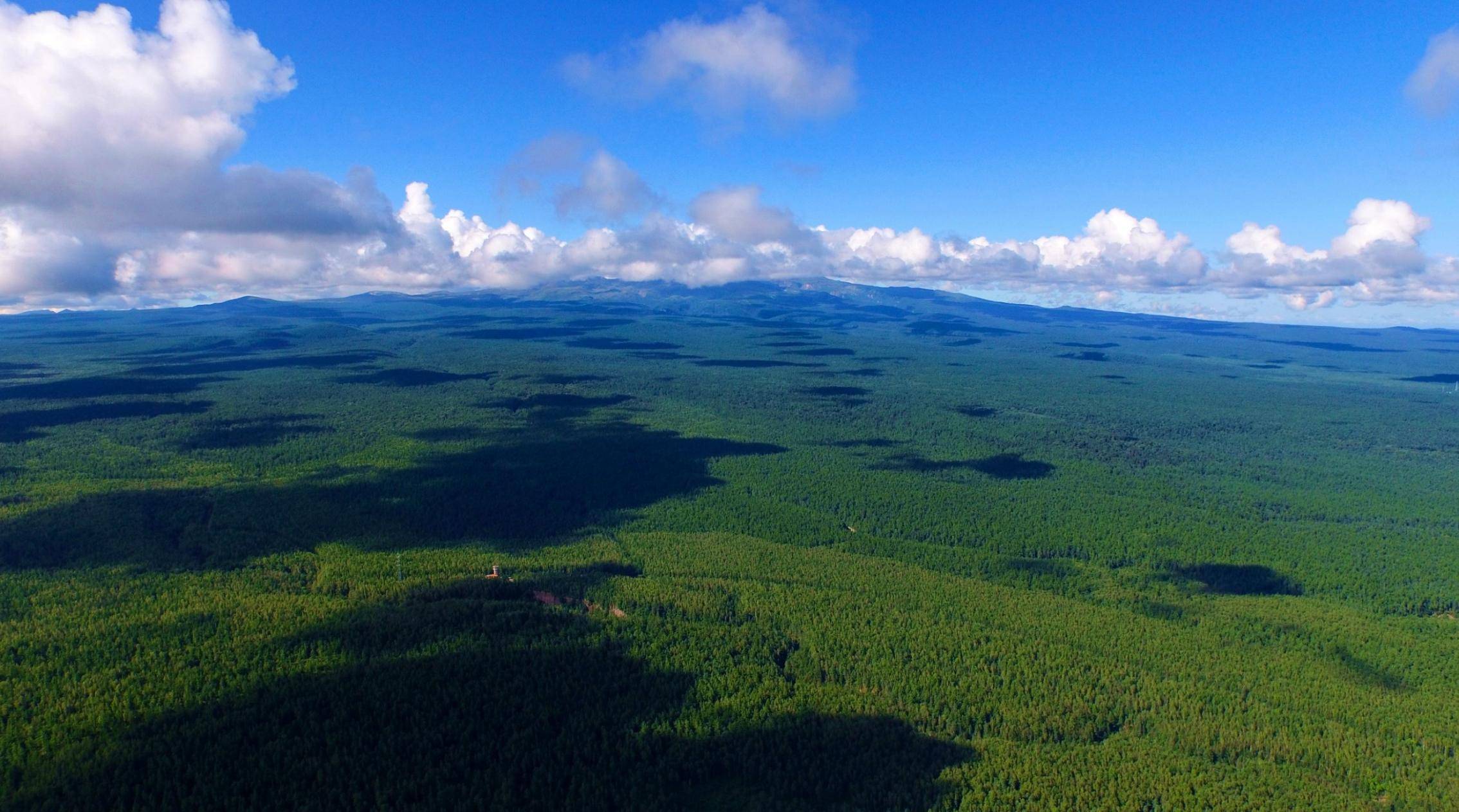 集长白山北坡神韵 展二道白河镇秀美,在大戏台河风景区尽享青山碧水