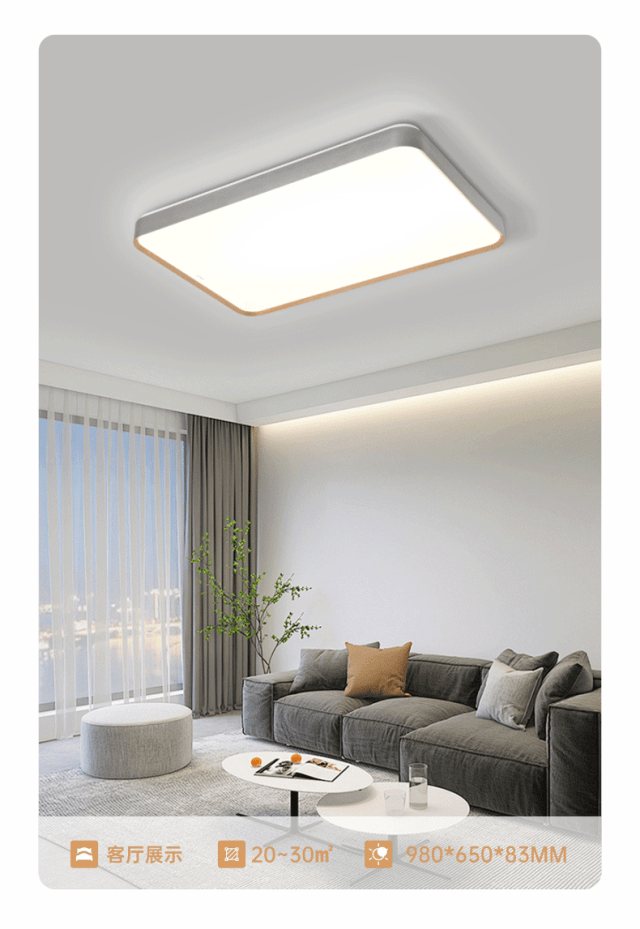 新品上市【简界系列】吸顶灯