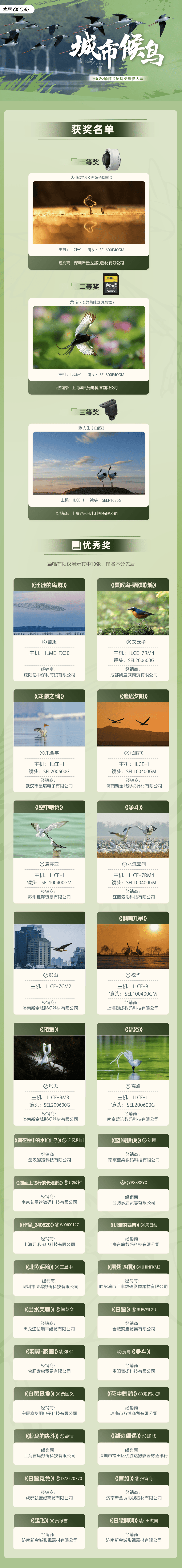 获奖公布 | 索尼经销商会员鸟类摄影月赛《城市候鸟》比赛结果