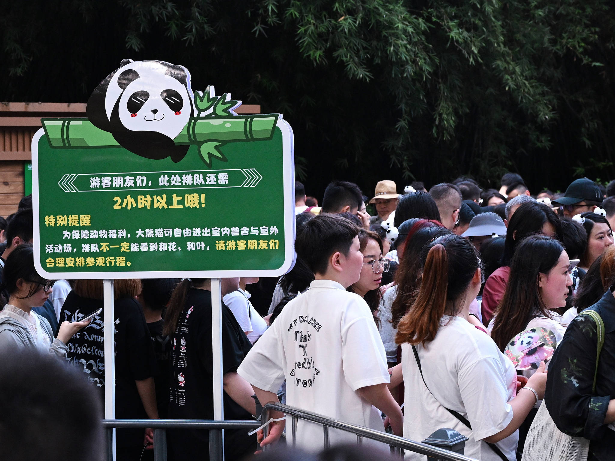 三大顶流 庆生 粉丝通宵排队 直击 为熊猫界