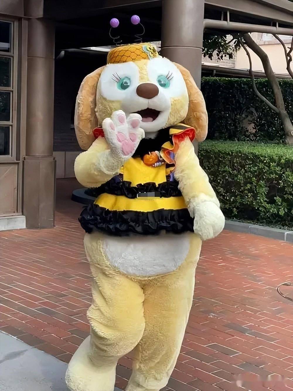 时尚还是病态年轻人凌晨3点排队给迪士尼玩偶庆生评论区炸锅