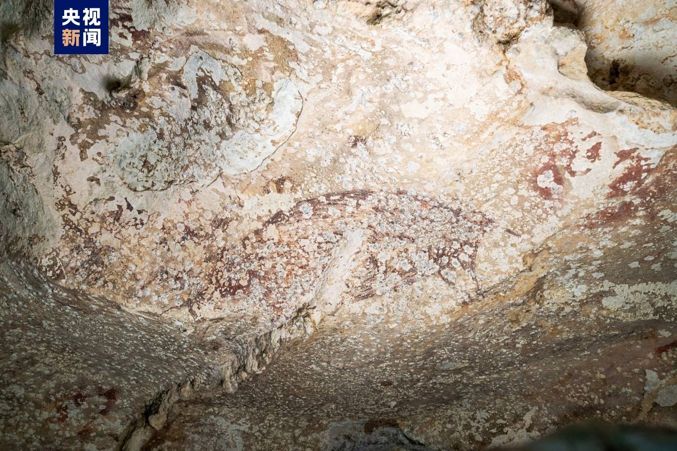 印尼现世界已知最古老洞穴绘画 距今超5.1万年