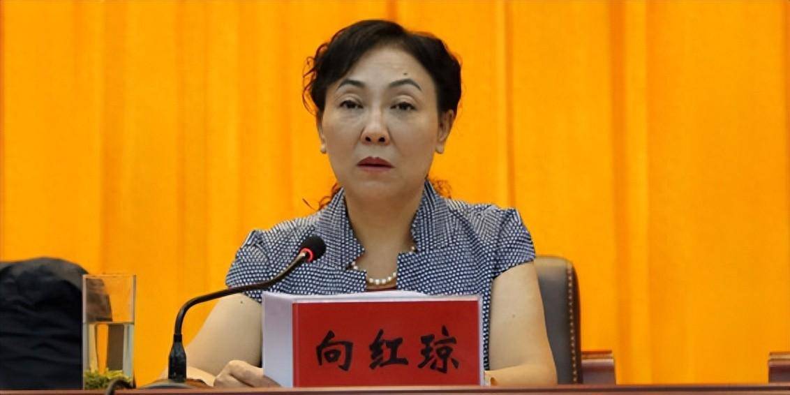 向红琼,将违纪违法钱款收了退、退了又收_贵州省纪委_问题_组织