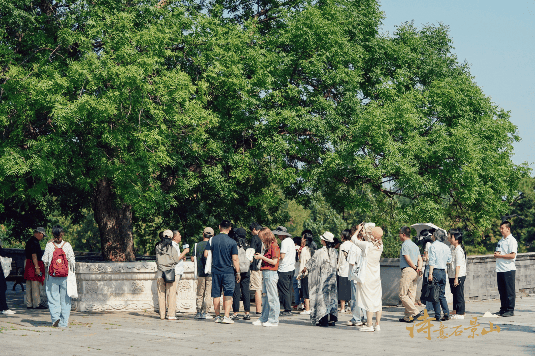 有诗意的生命,才是真正的生命_八大处公园_王永利_黄连木