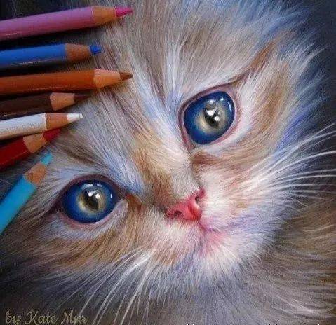 彩铅画猫狗,太逼真了,让人无法相信!