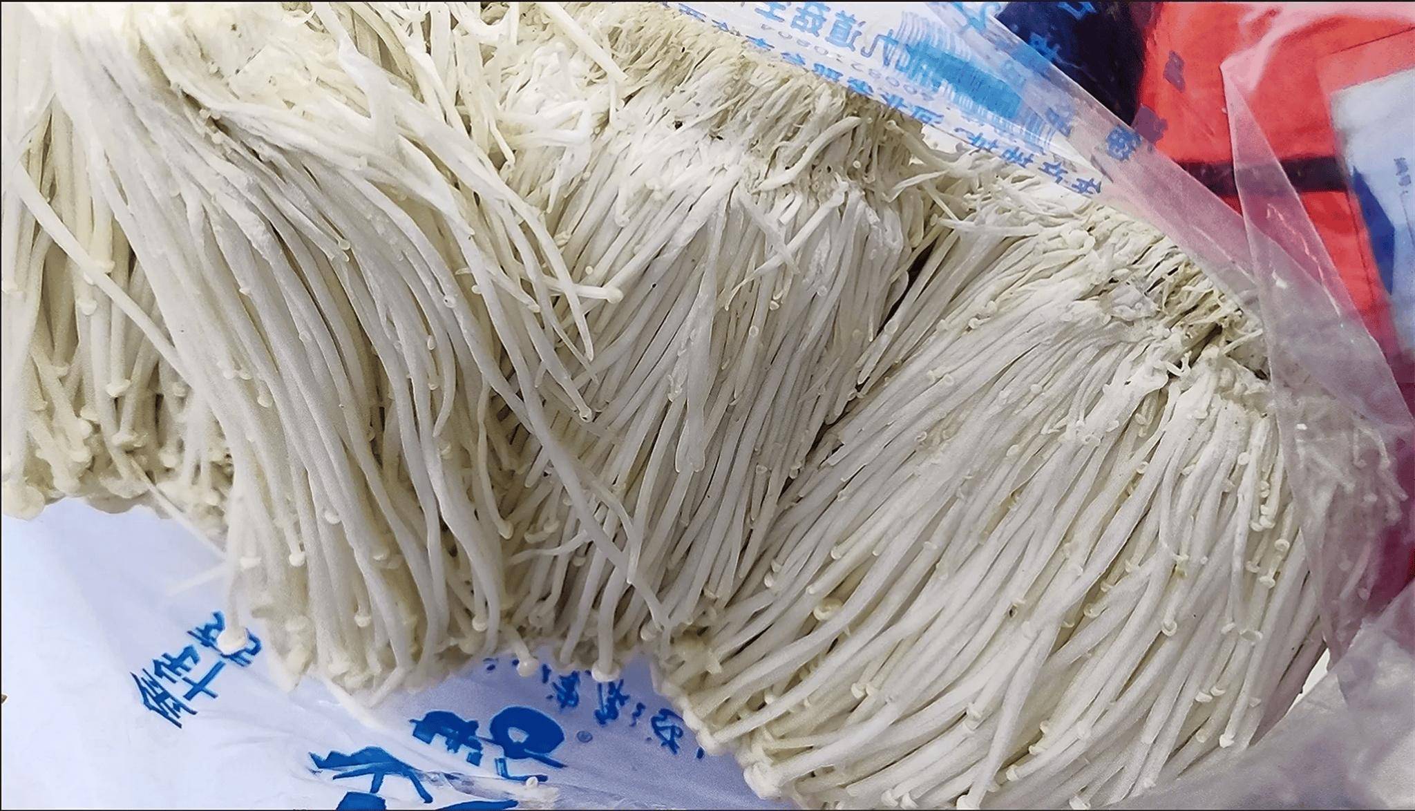 金针菇怎么洗,金针菇清洗大揭秘,从挑选到享用,每一步都不可少