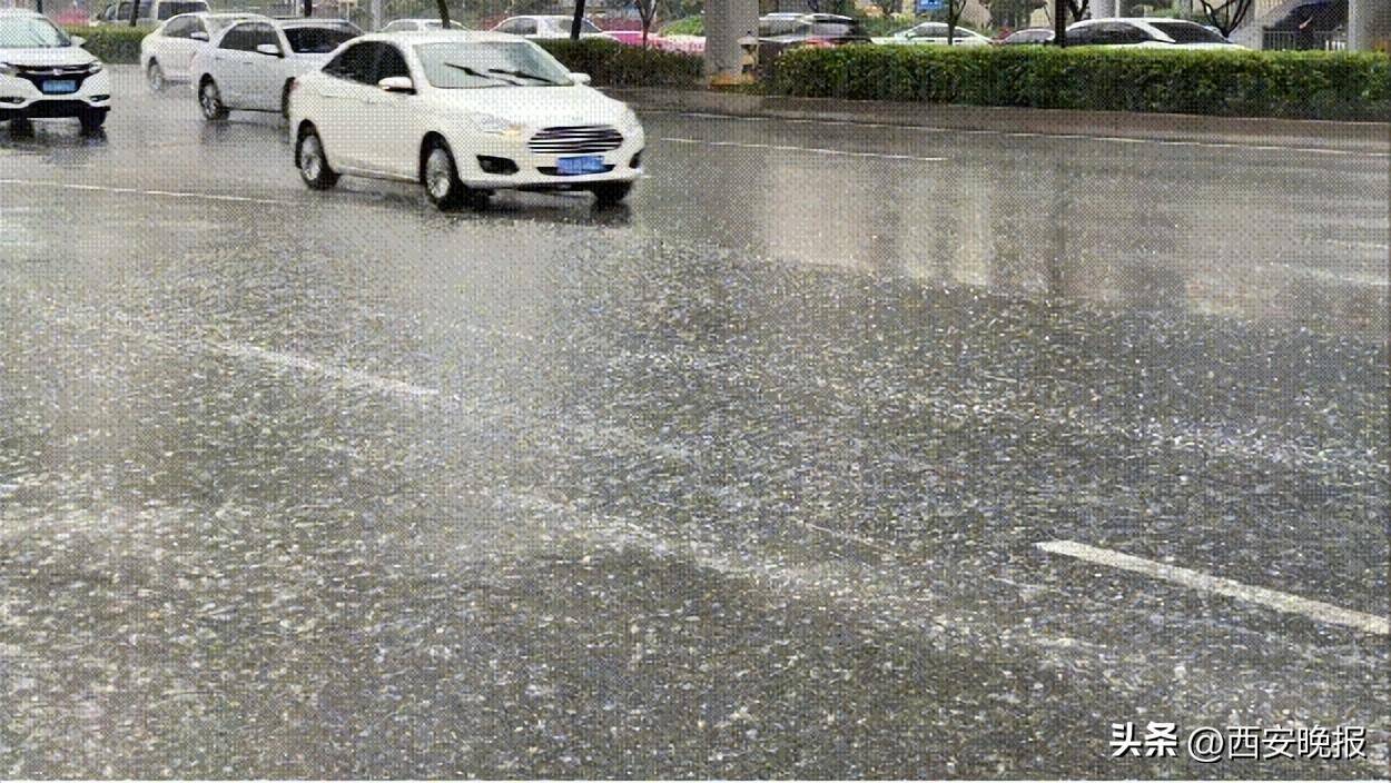 户县大雨图片