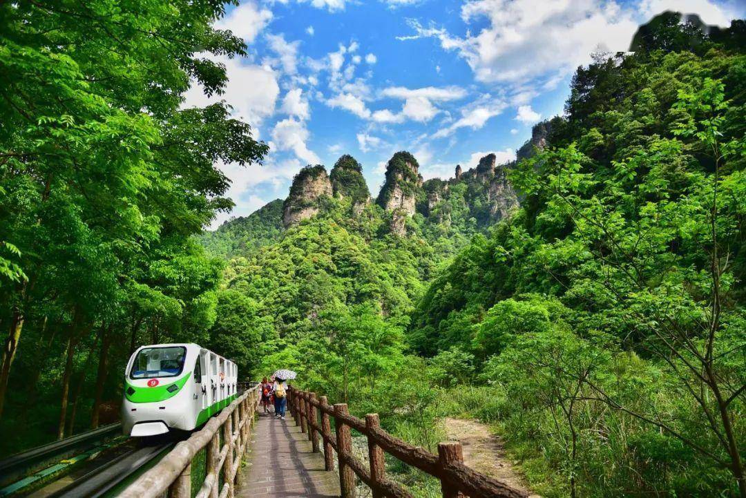 地址:位于张家界谷城南河龙滩东沟大峡谷是索溪峪景区的精华之一