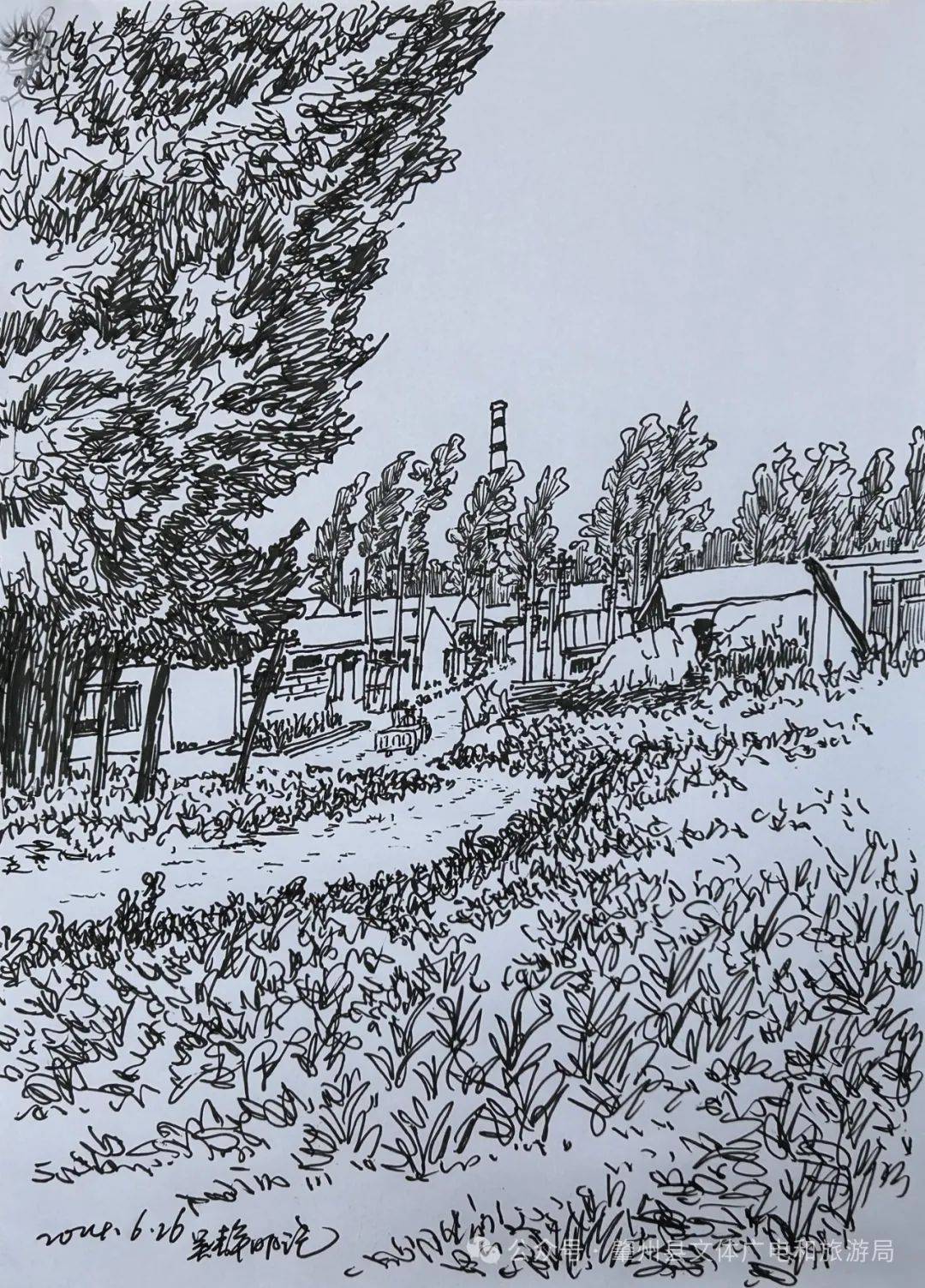 掬一捧清凉的青马湖水,摘一朵老街基公园娇艳的夏花,捉一只草地上调皮