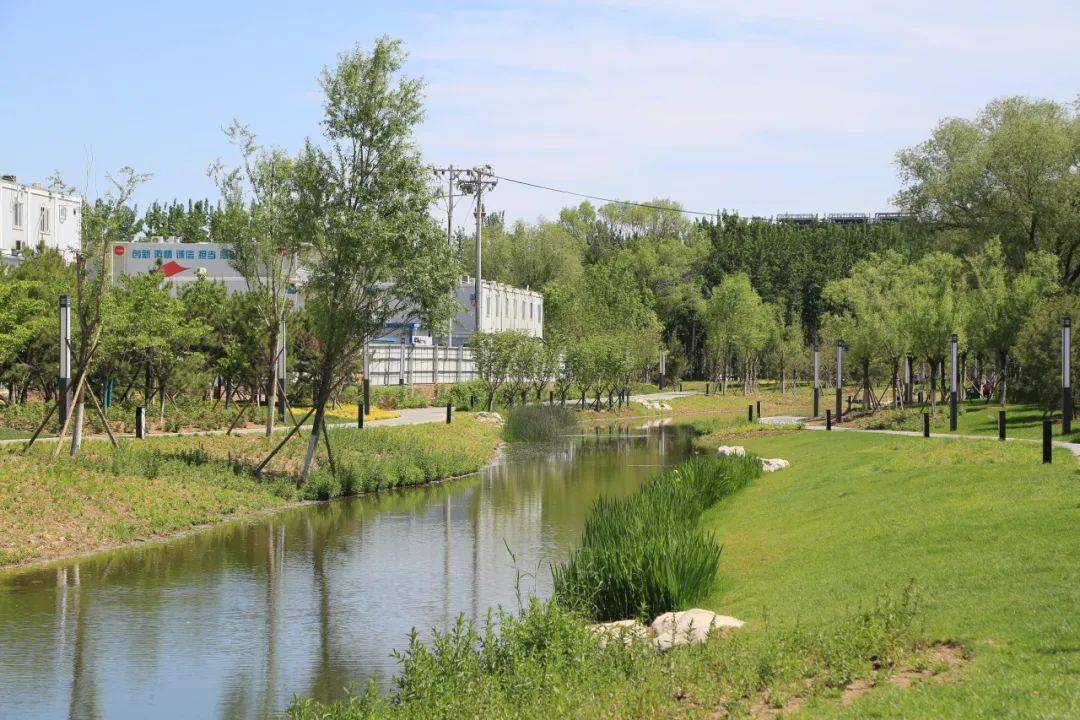 线性水廊景观区带给行人视觉的享受,滨水游憩景观区则成为了孩子们的