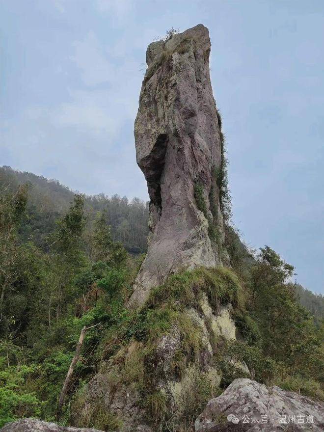 去不了八达岭的万里长城,那就来永嘉中堡的小长城吧,一览楠溪胜景!