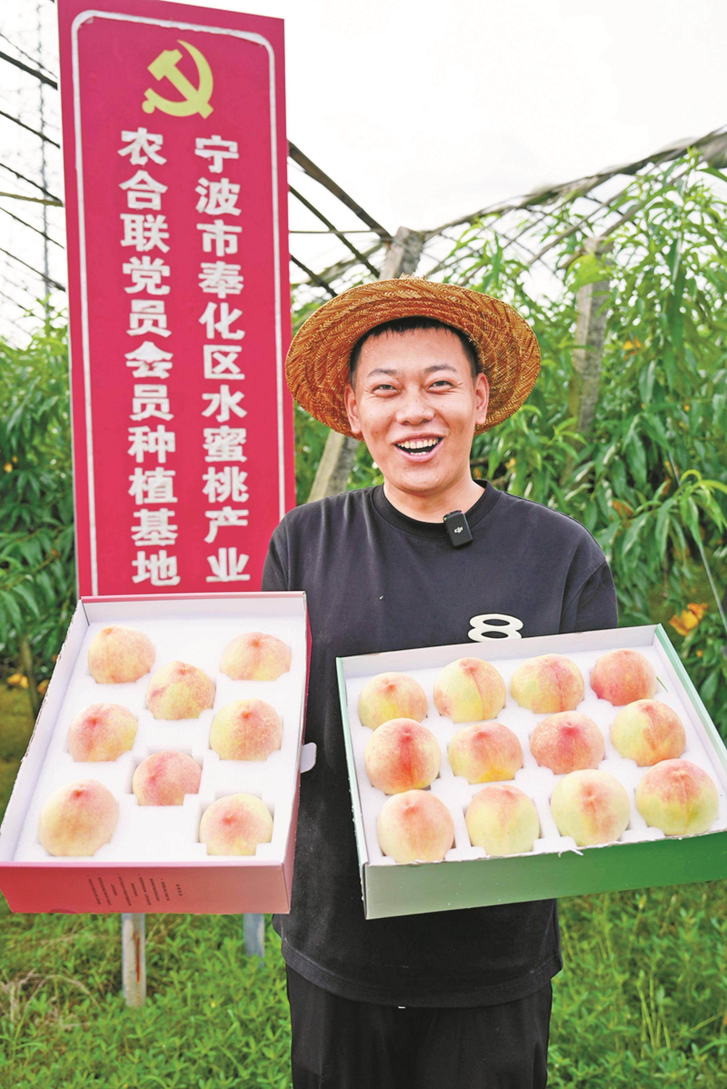 网上卖桃日入6万元 奉化这个"桃三代"林中掘金