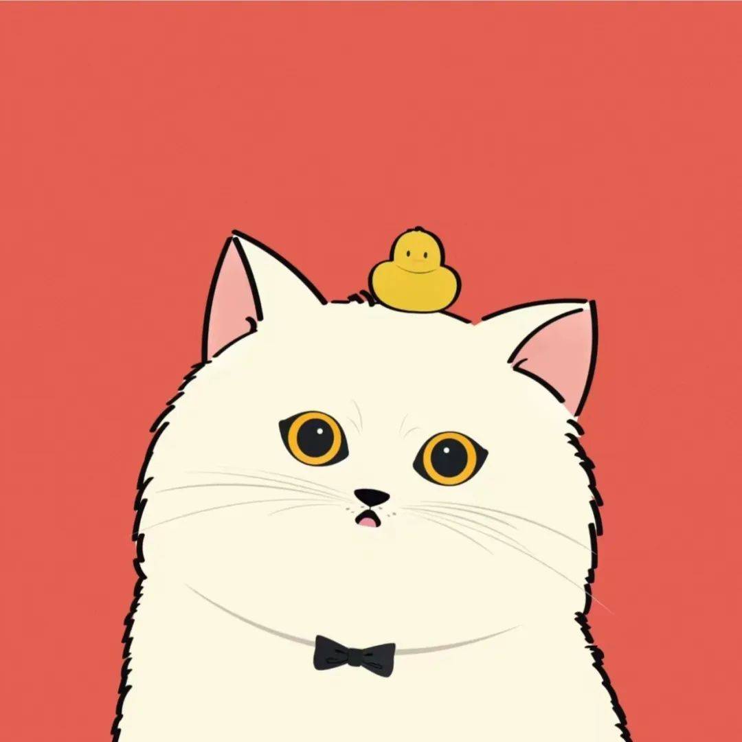 头像 | 小众wechat头像