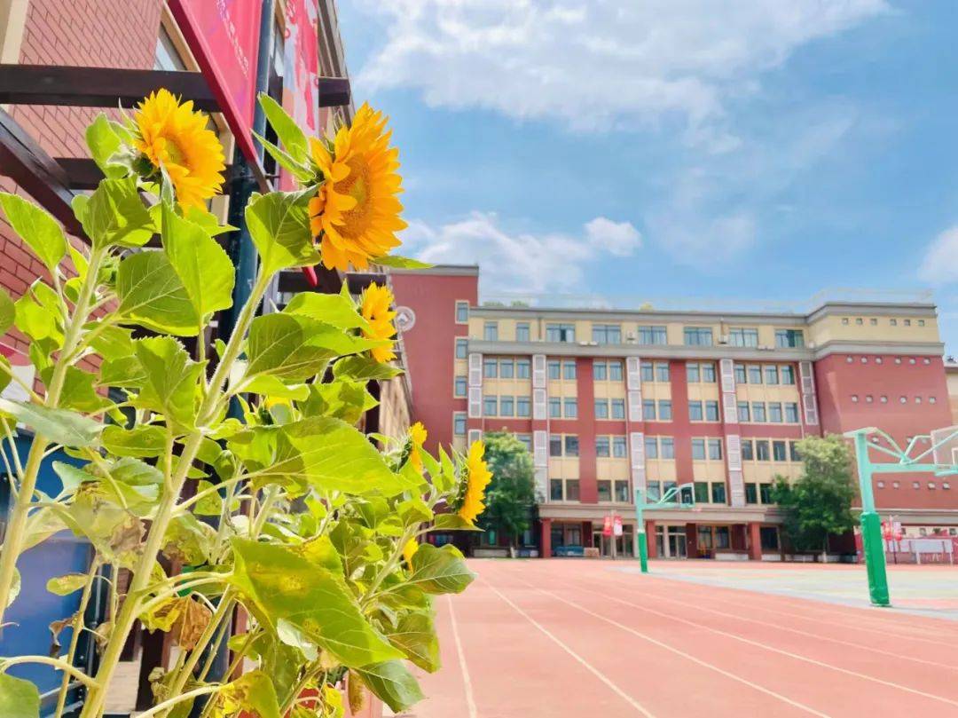 招生简章 | 人大附中西山学校2024级普通高中招生啦！