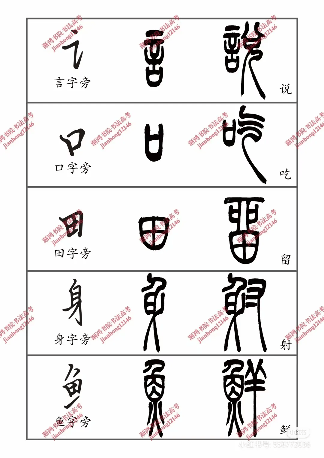 篆书偏旁部首,把这些苦练100遍写篆书你就会一通百通