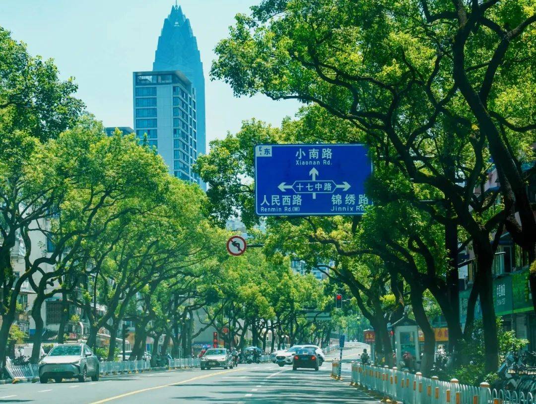 温州雪山路图片