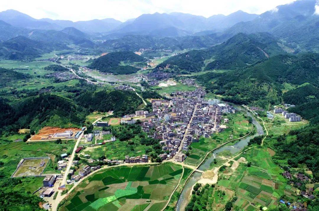 南乡镇:增厚"绿色家底" 守护一方绿水青山