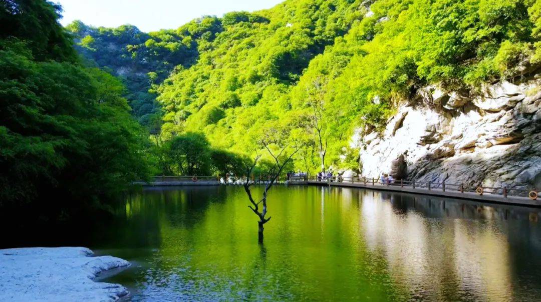 渭南一景区免门票!暑假带孩子去再适合不过了!|909出行