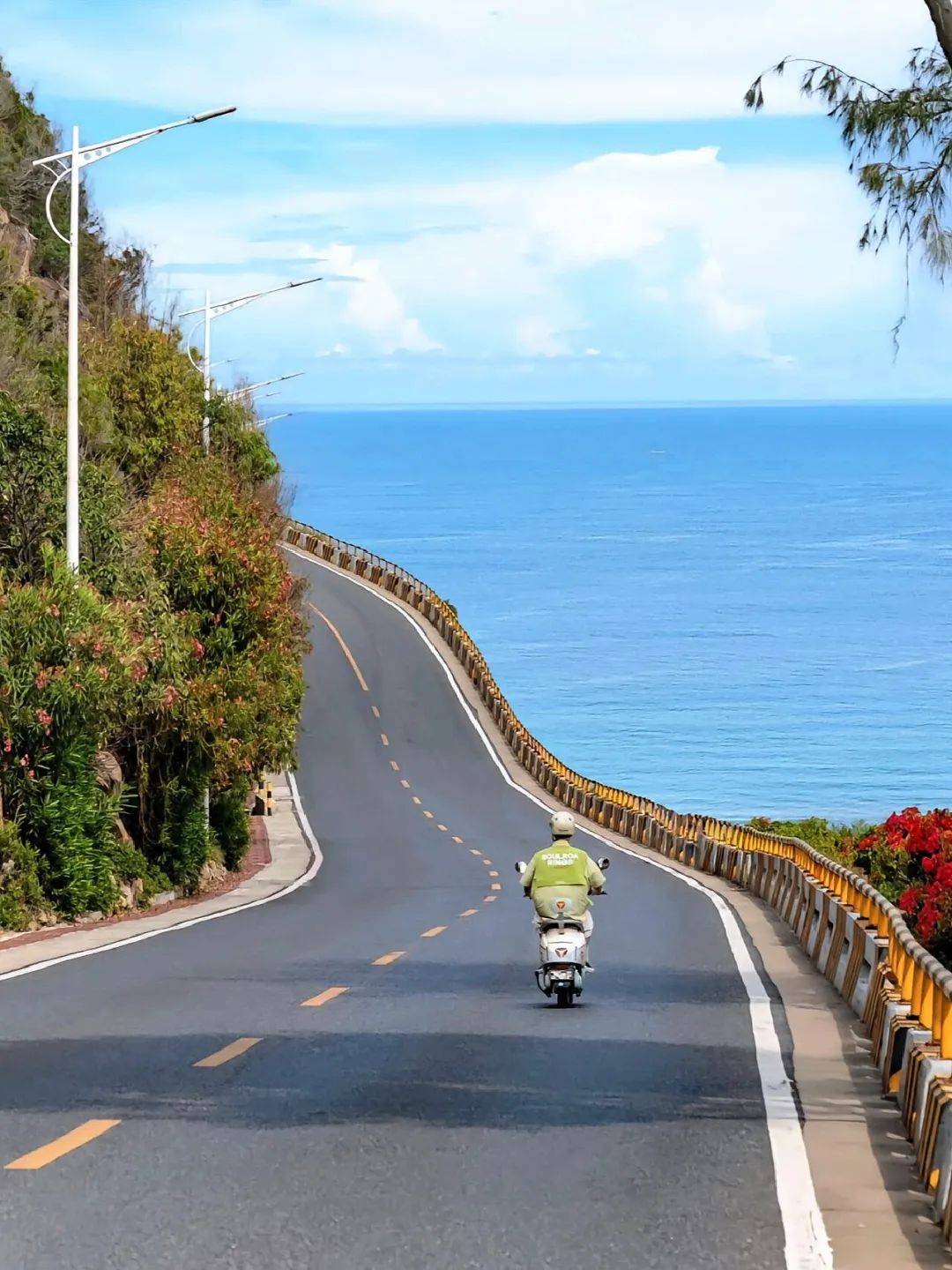 东莞沿海公路图片