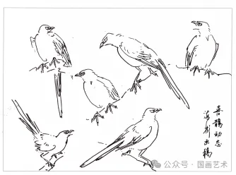 写意花鸟技法讲堂 名家教你画喜鹊