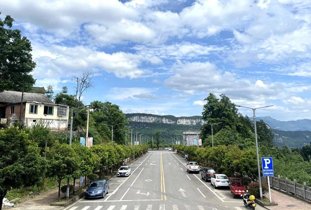 【"四新""四化"新道真】阳溪镇:绿满山川织锦绣