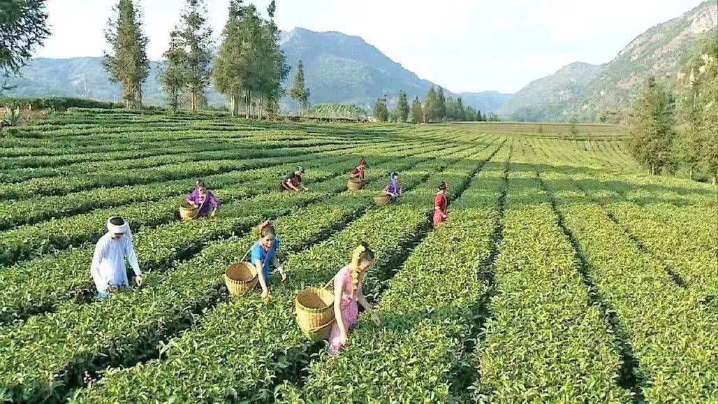 勐简乡大寨村,勐撒镇芒见村,贺派乡班卖村,芒洪乡户南村,耿马镇三尖山