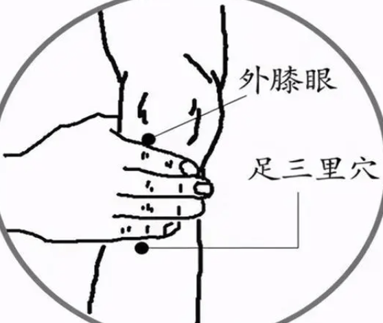 艾灸:艾灸中脘和足三里穴位可以强健脾胃功能,也会避免一些过敏性疾病