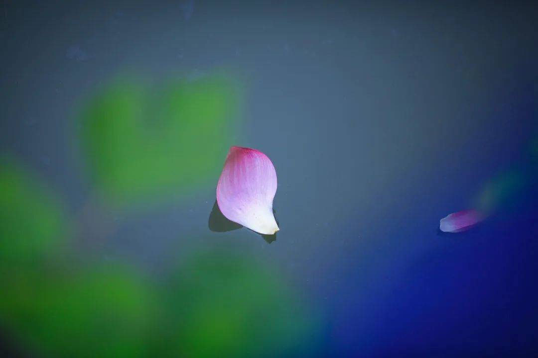 清· 彭孙贻啖梅【晚凉】夏雨如风,带来了我想看到的色彩,它洗去了