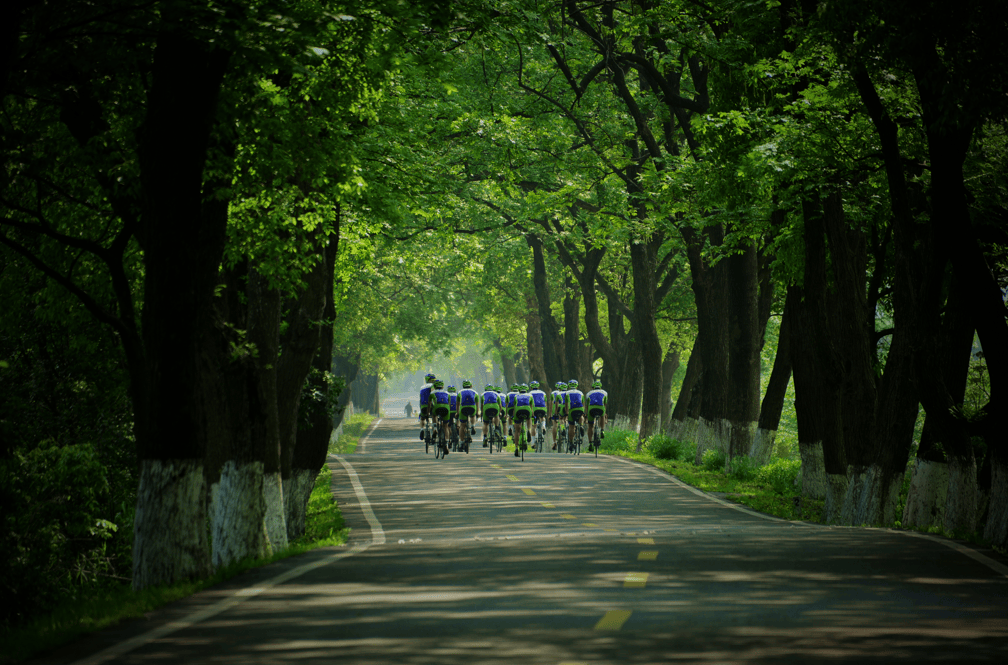 沿着"最美公路"翁金线寻觅潮城诗与画