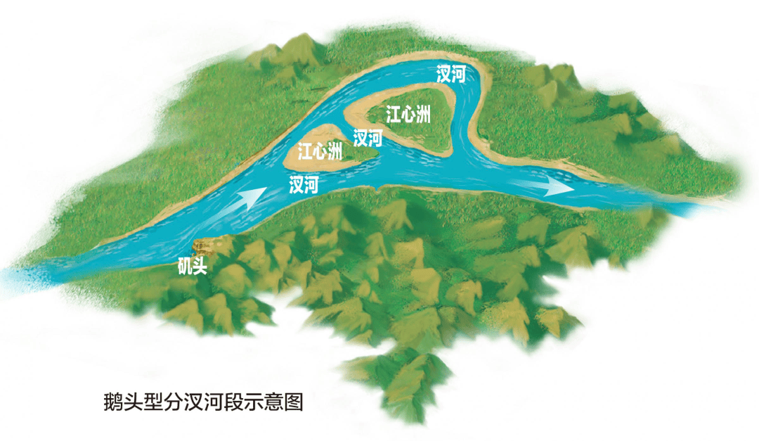 江心洲示意图图片