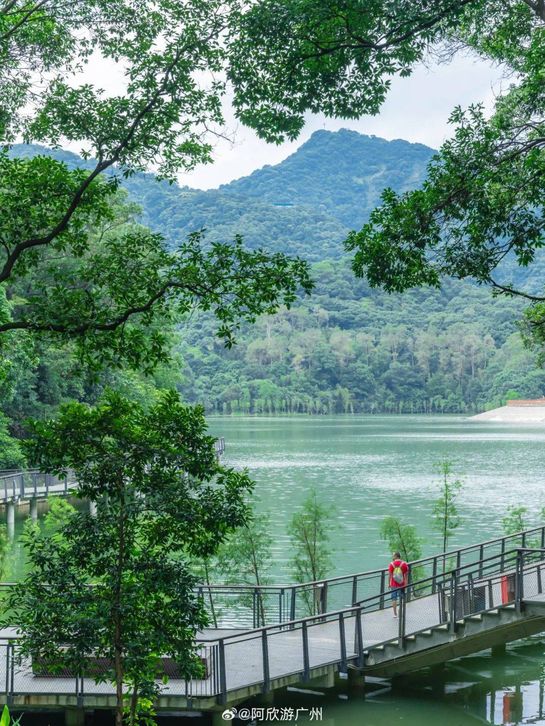 观鸟,观林的景观节点为游客提供是一条水上观景栈道黄婆洞水库栈道宽