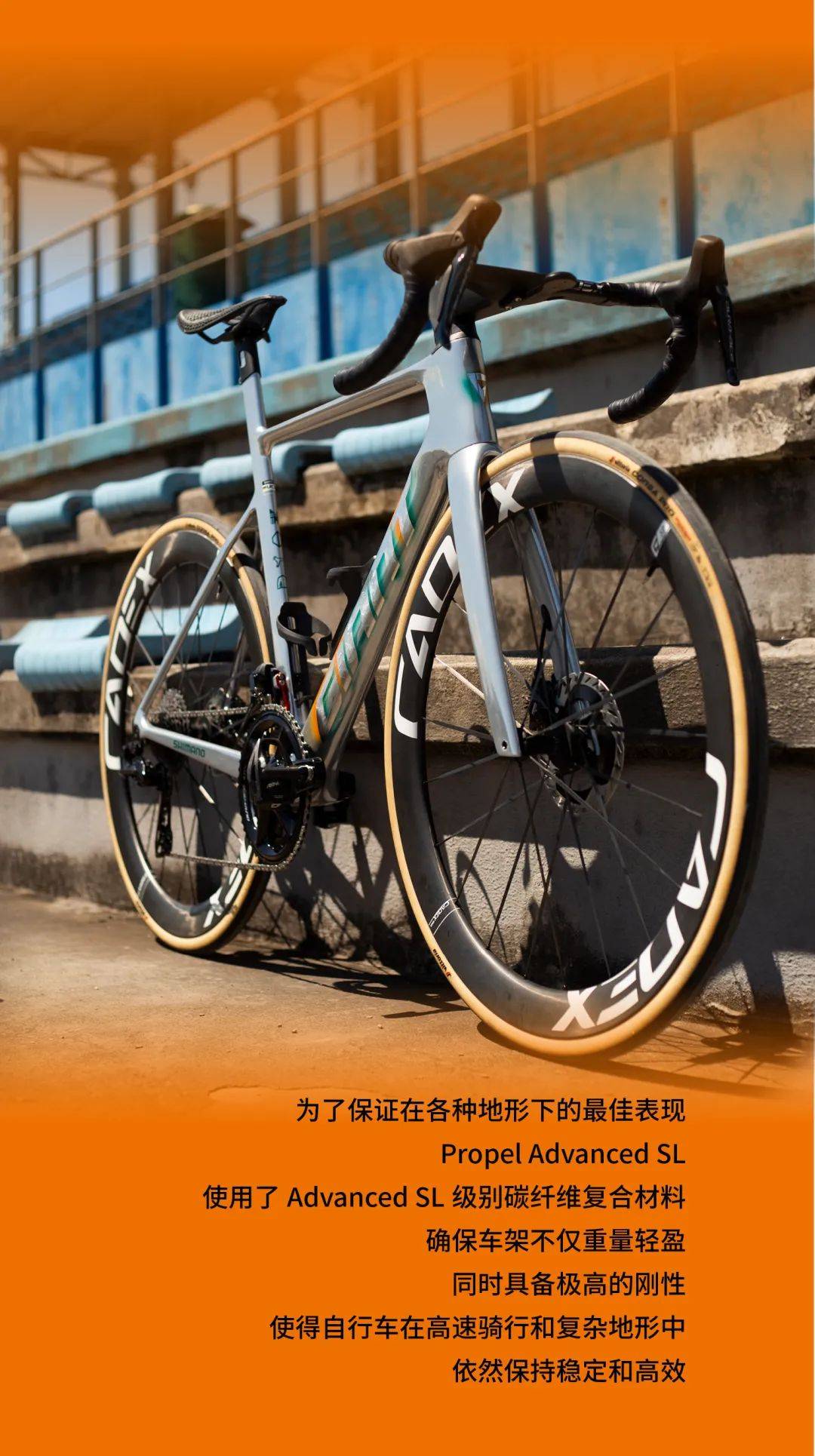 银色子弹 环法上的特别涂装giant propel